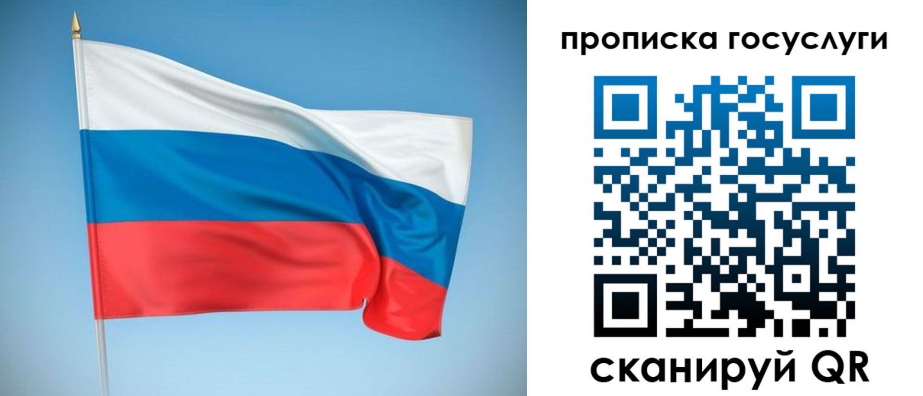 регистрация для школы в Бокситогорске